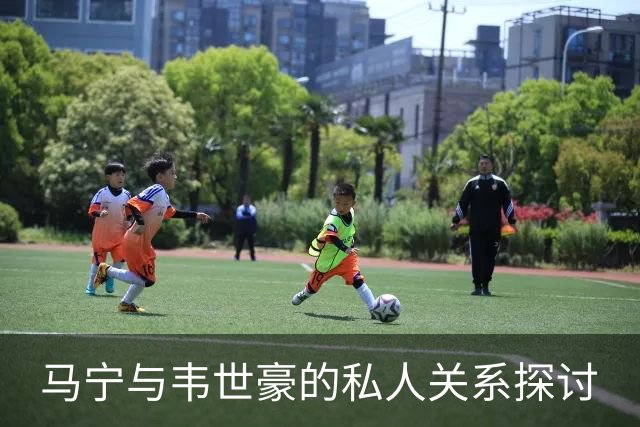马宁与韦世豪的私人关系探讨